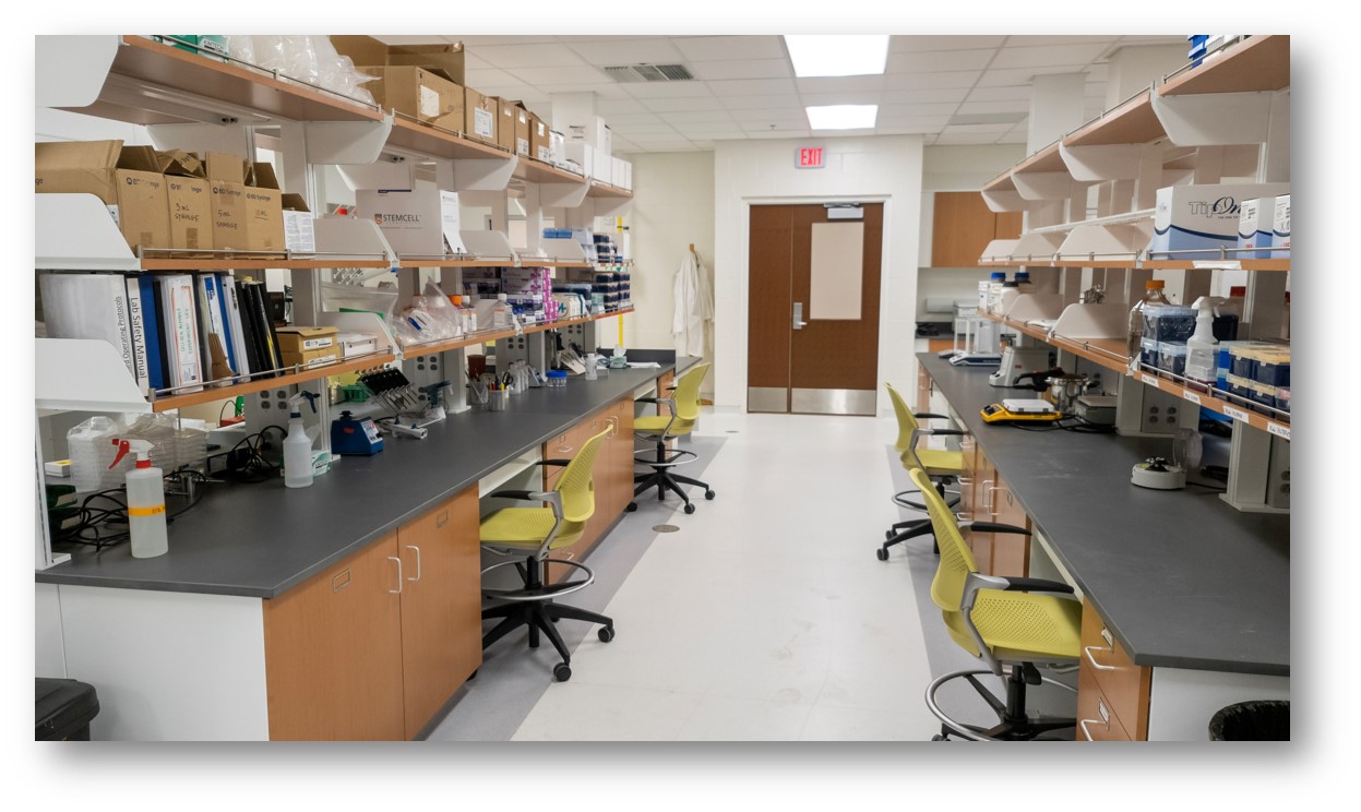 Laboratory Facility